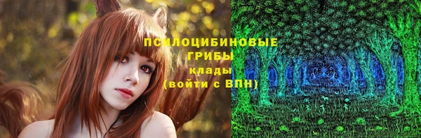 прущий лед Верея