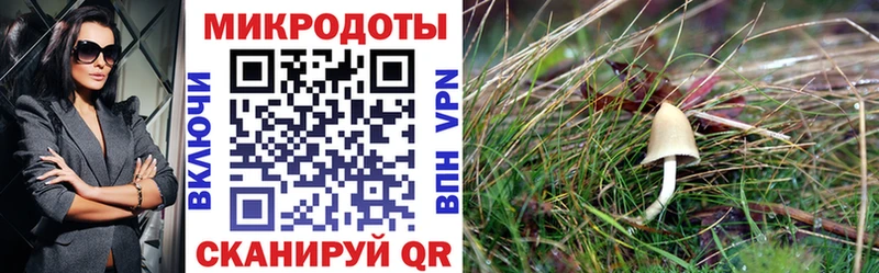MEGA   Томари  Псилоцибиновые грибы MAGIC MUSHROOMS 